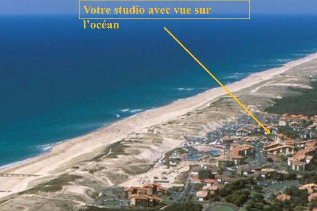 Studio Ultra Cosy Et Chic Avec Vue Sur L'Ocean 3* Seignosse Eksteriør bilde